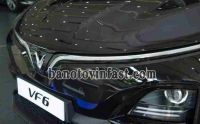 VinFast VF6 Plus Số tự động năm 2025