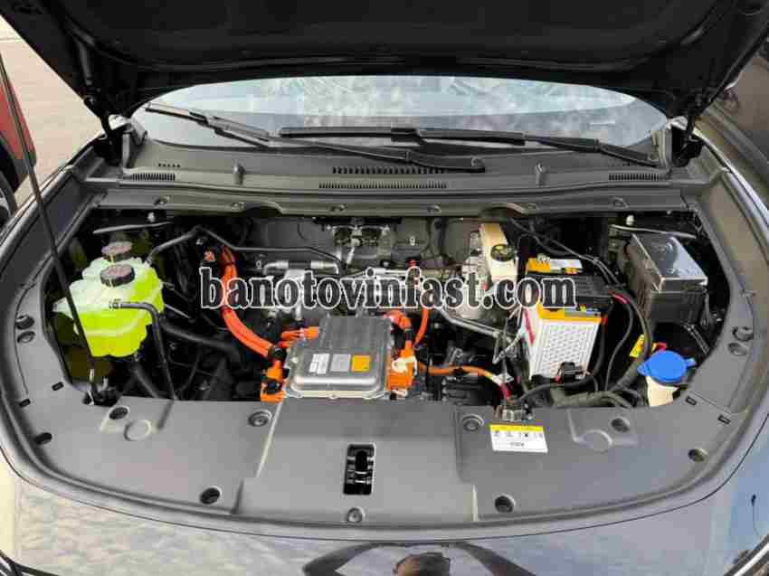 Bán VinFast Limo Green AT năm 2025 đẹp xuất sắc