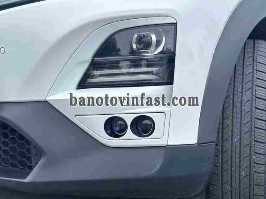 Bán VinFast VF6 S, màu Trắng, Xe điện, 2024