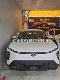 VinFast Limo Green AT Lắp ráp trong nước Số tự động rất đẹp - 2025