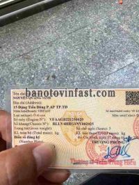 Cần bán gấp VinFast VF e34 AT đời 2022, màu Đỏ