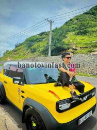 Cần bán gấp xe VinFast VF3 Plus năm 2024, màu Vàng, Số tự động